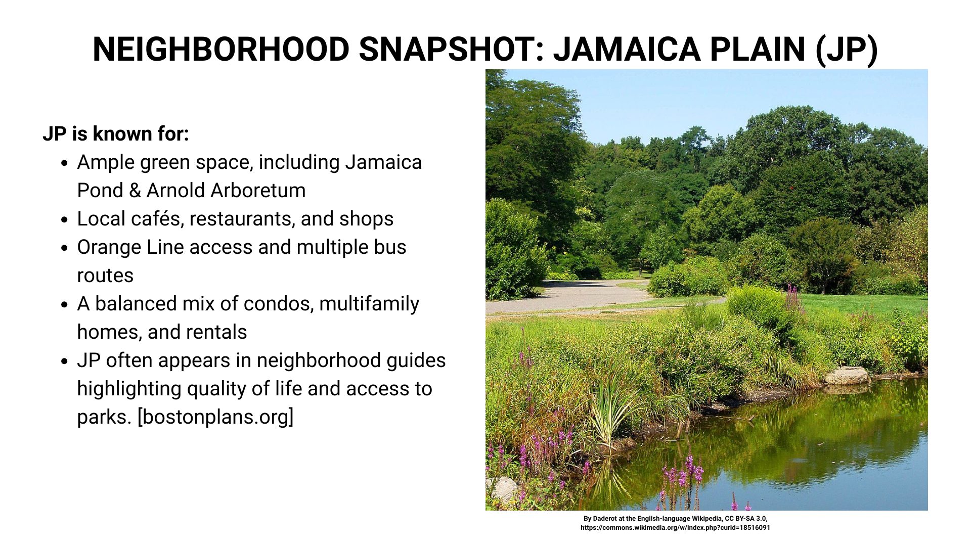 Green park landscape in Boston’s Jamaica Plain, known for ponds, arboretum access, and local amenities.